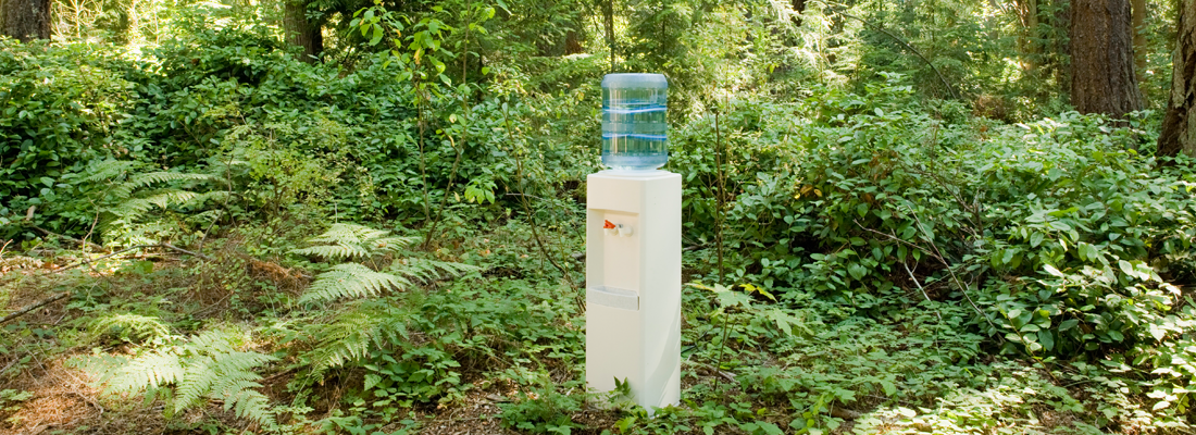 Un dispensador de agua en medio del bosque