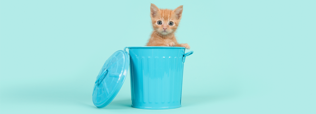 Un lindo gatito en un cubo de basura pequeño azul